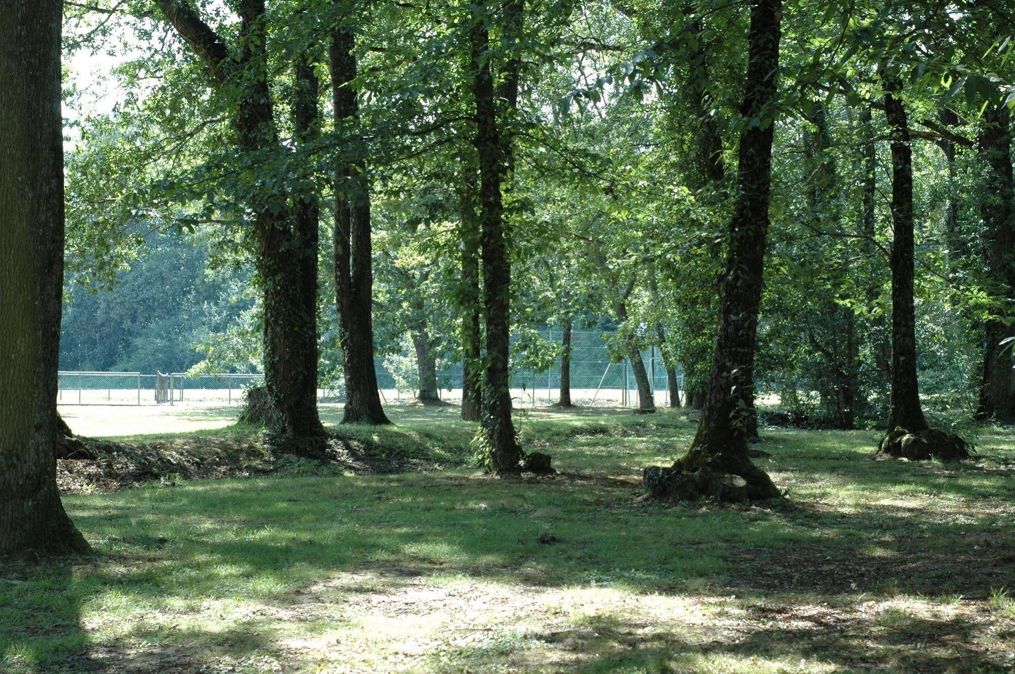 Hotel Western Le Bois De La Marche